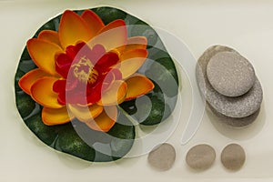 Stone balance pyramid, orange lily. SPA relaxation concept. White background