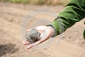 Stone ball on the hand