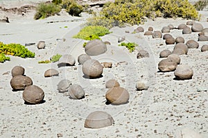 Stone Balls - Ischigualasto Provincial Park - Argentina