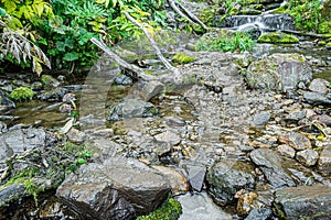 Stone bank of river on sunny summer day. Water flows down cobblestones of creek bed