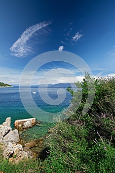 Stone beach with crystal clear tourquise sea with pine tree in Croatia, Istria, Europe