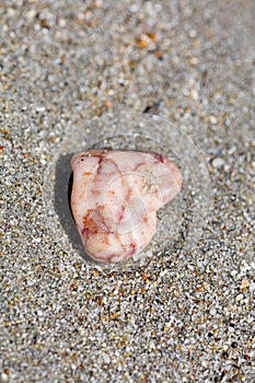 Stone on the beach macro background high quality 50,6 Megapixels