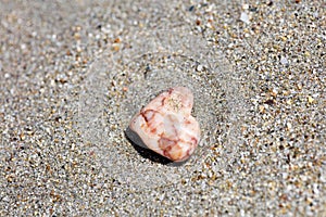 Stone on the beach macro background high quality 50,6 Megapixels