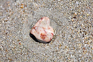 Stone on the beach macro background high quality 50,6 Megapixels