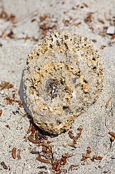 Stone on the beach macro background high quality 50,6 Megapixels