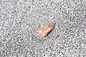 Stone on the beach macro background high quality 50,6 Megapixels