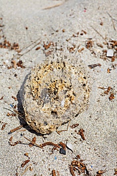 Stone on the beach macro background high quality 50,6 Megapixels