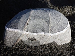 Stone at the beach of Okarito New Zealand