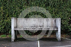 Stone Bench Grungy Against Green Bush Leaves Background Closeup