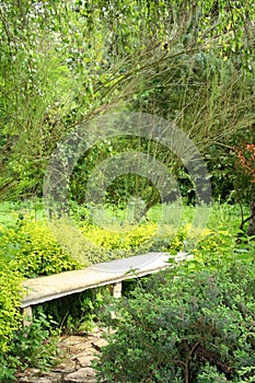 Stone bench in park