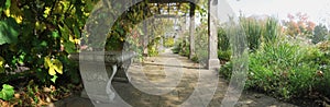 Stone Bench under a Arbor of Grape Vines, Panorama/Banner