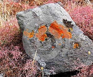 Stone block with red lichen