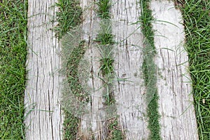 Stone block walk path