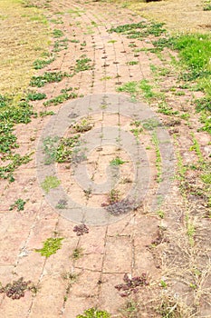 Stone block walk path