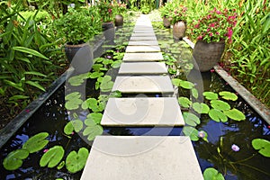 The Stone block walk path in the garden on water