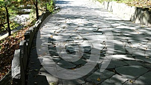 The Stone block walk path in the park with green grass background .Paving slabs with a grass. Cobblestone striped