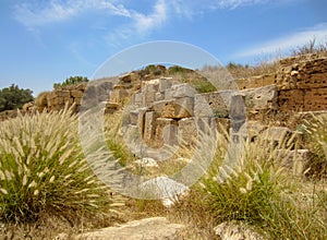 Stone blocks against blue sky with fountain grass at ancient Roman ruins of Leptis Magna in Libya