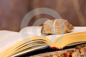 Stone on a Book