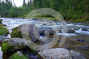 Stone boulders on the bank of a mountainous turbulent river flowing through the summer morning forest