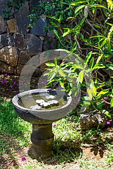 Stone bowl with water and flowers