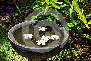 Stone bowl with water and flowers