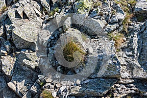 stone brick tectured pattern in nature
