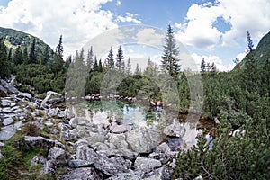 stone brick tectured pattern in nature