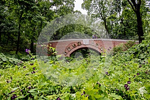 Stone brick vintage bridge in the park on a summer day in the grass