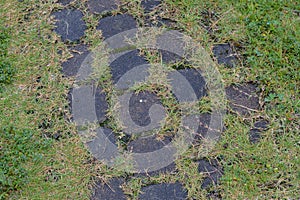 Stone bricks floor walkway with grass