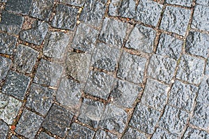 Stone bricks wet from rain paving pavement texture