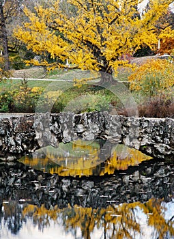 Stone Bridge