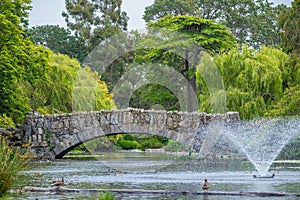 Piedra puente a través de estanque Agua en el parque 