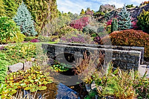 Stone bridge across the river in a botanical garden with a variety of plants