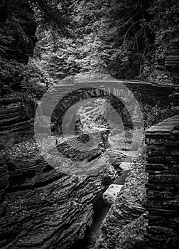 Stone Bridge across the Treman Chasm