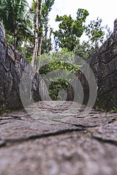 Stone bridge at Bano Grande Swim area in El Yunque National Forest, Puerto Rico photo