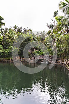 Stone bridge at Bano Grande Swim area in El Yunque National Forest, Puerto Rico photo