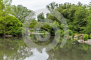 Stone bridge in Central park, New York City in summer.