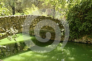 Stone bridge on green pond