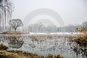 A Stone Bridge on the Ice Lake in Fog Day photo
