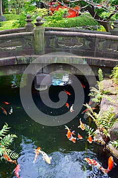 Stone bridge in Japanese garden over koi carp pond