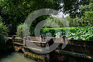 Stone bridge in lotus pond on sunny summer day