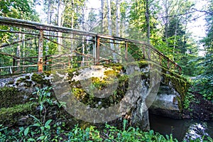 Stone bridge in lush forest.