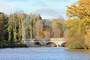 Stone bridge over a lake in the Autumn sunshine with tree leaves