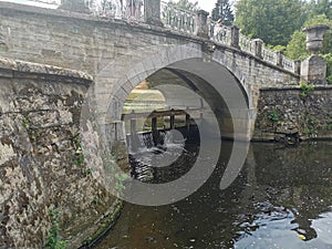 stone bridge over the pond Pavlovsk park summer day