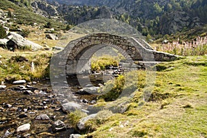 Stone bridge over river