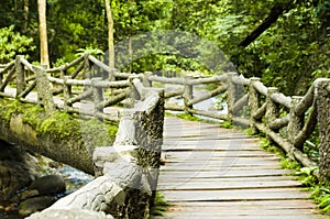 Stone bridge over the river