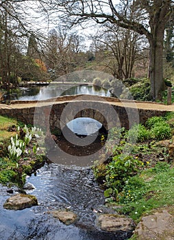 Stone Bridge over Stream Landscape