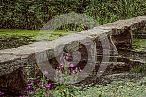 Stone bridge in pond