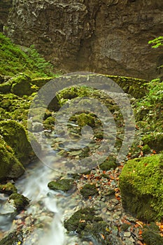 Stone bridge in Rakov Å kocjan in Slovenia