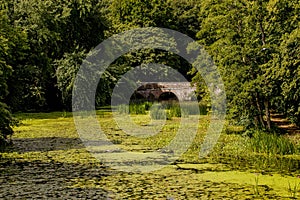 Stone bridge of the river Stour in Blandford Forum in Dorset, UK.